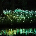 China Fiber Optic Lighting Outdoor Landscape Lighting for Holiday Supplier